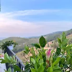 Casa de hóspedes Avi